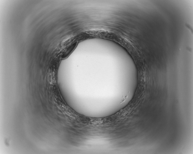 X0000101440965200807281019