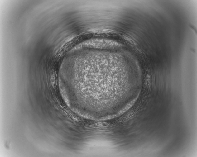 X0000101440966200807281019