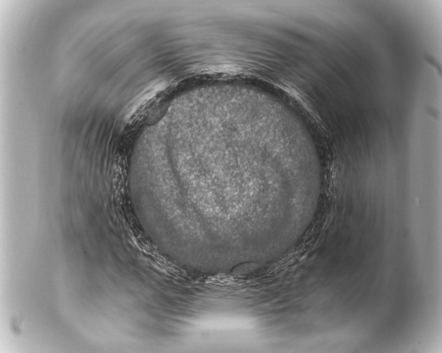 X0000101440967200807281019