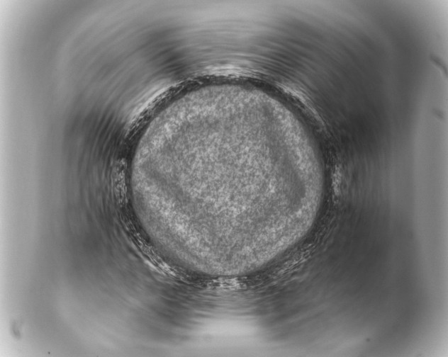 X0000101440968200807281019