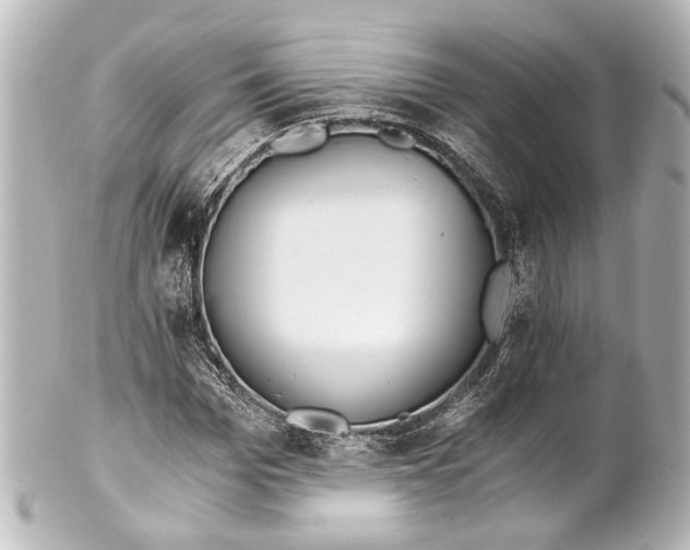 X0000101440969200807281019