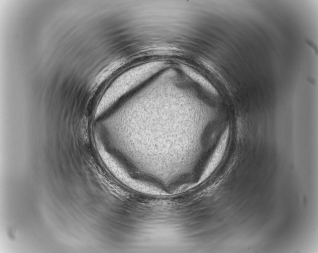 X0000101440970200807281019