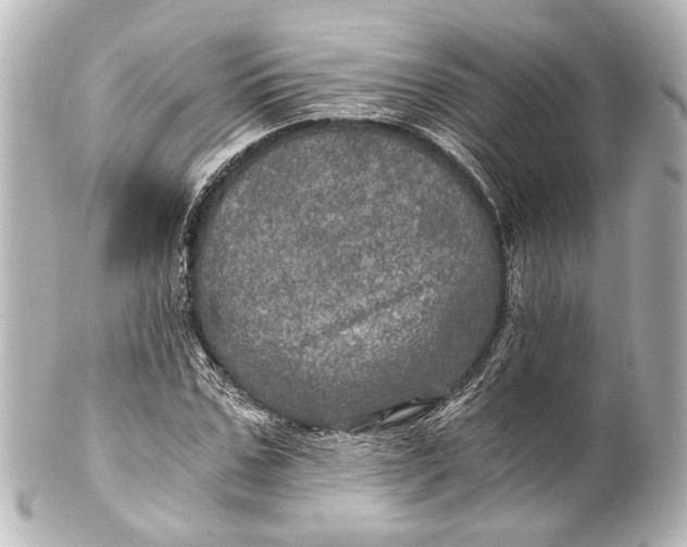 X0000101440971200807281019