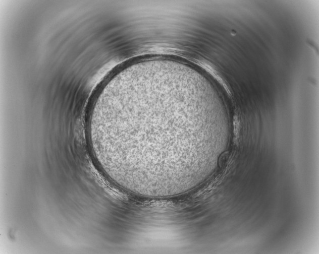 X0000101440972200807281019