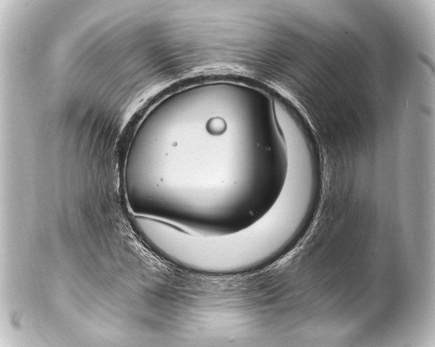 X0000101440973200807281019