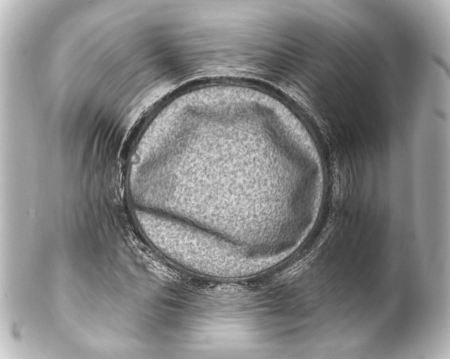 X0000101440974200807281019