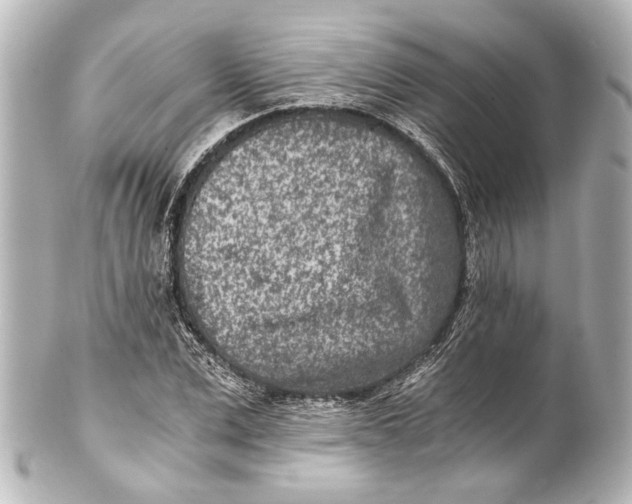 X0000101440975200807281019