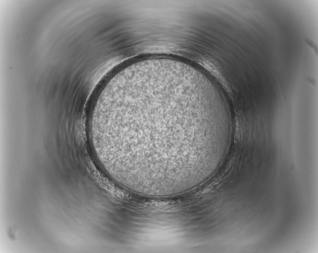 X0000101440976200807281019