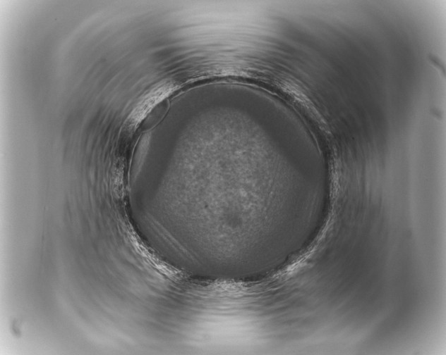 X0000101440977200807281019