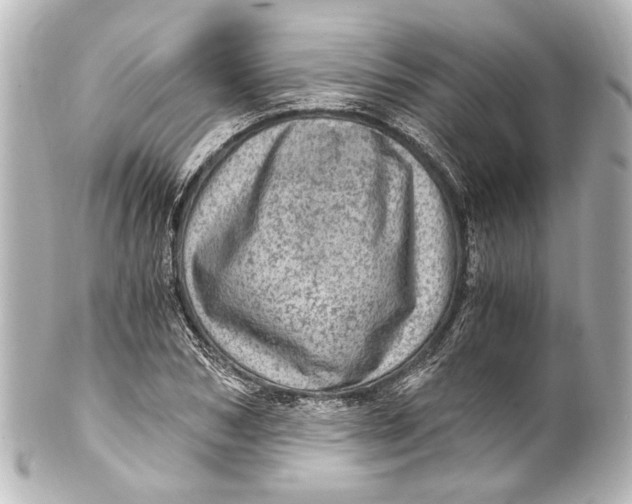 X0000101440978200807281019