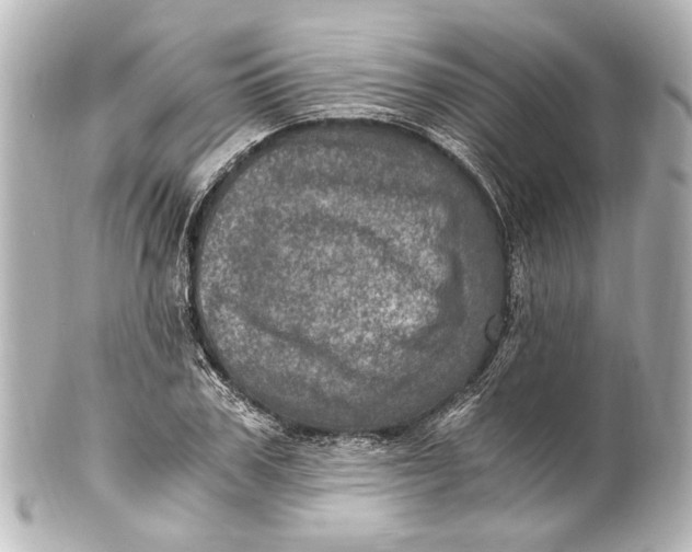 X0000101440979200807281019