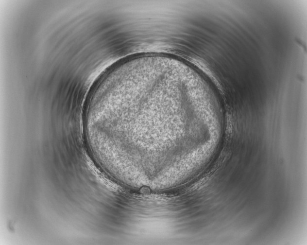 X0000101440980200807281019