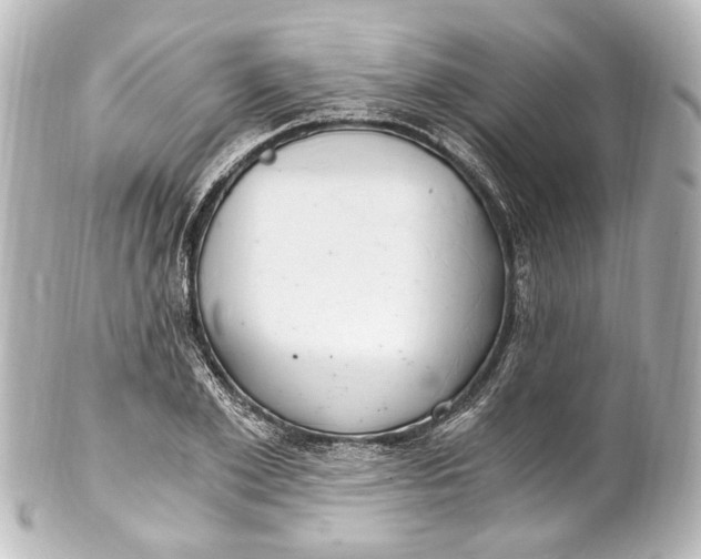 X0000101440981200807281019