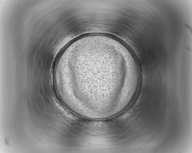 X0000101440982200807281019