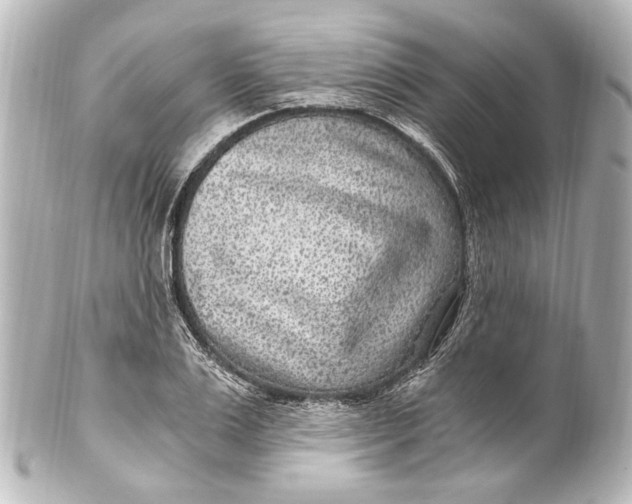 X0000101440983200807281019