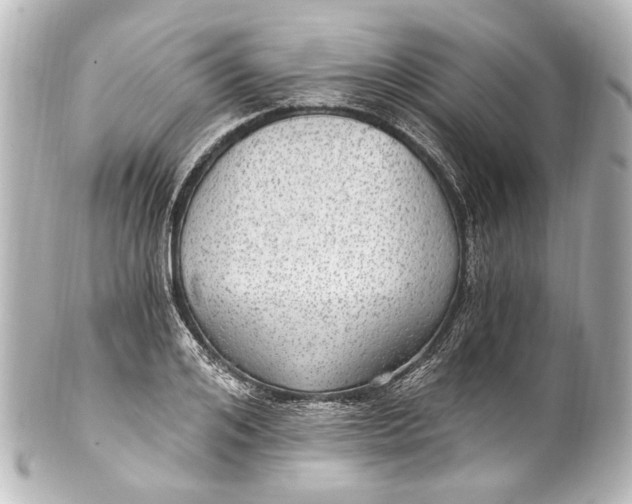 X0000101440984200807281019