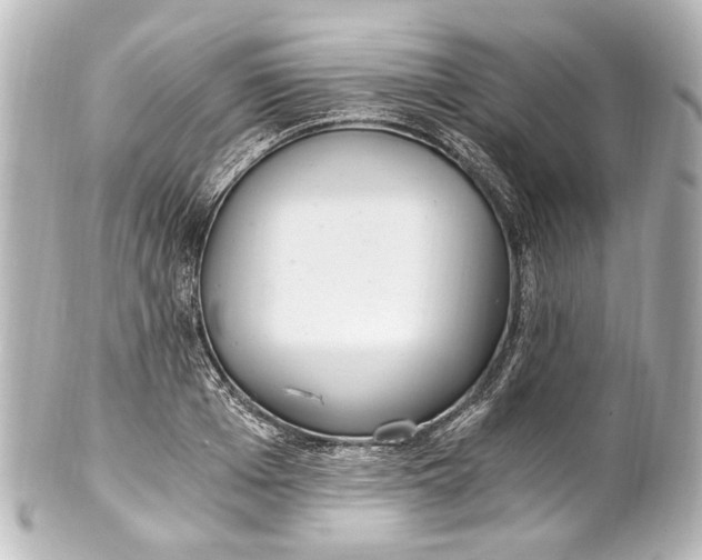 X0000101440985200807281019