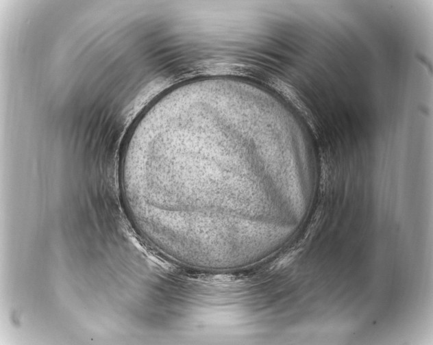 X0000101440986200807281019