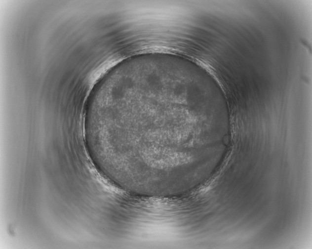 X0000101440987200807281019