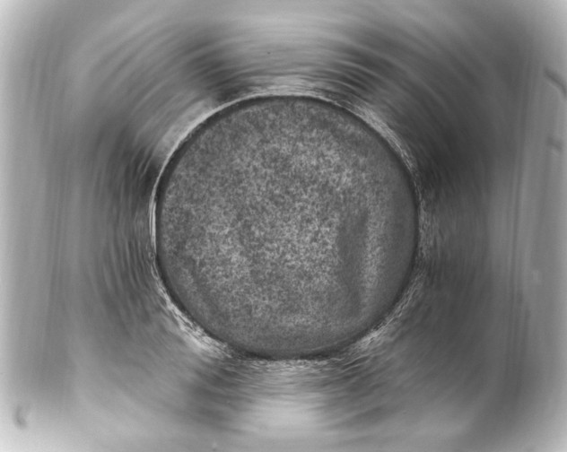 X0000101440988200807281019