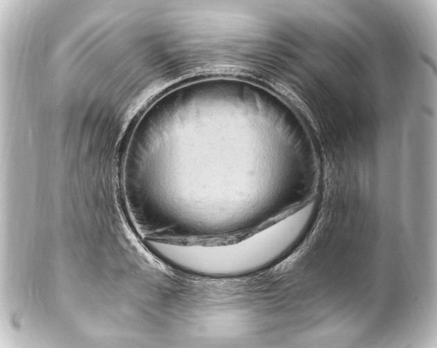 X0000101440989200807281018