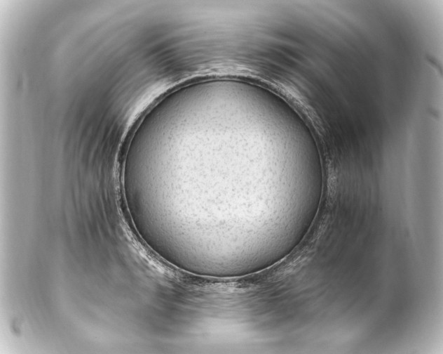 X0000101440990200807281018