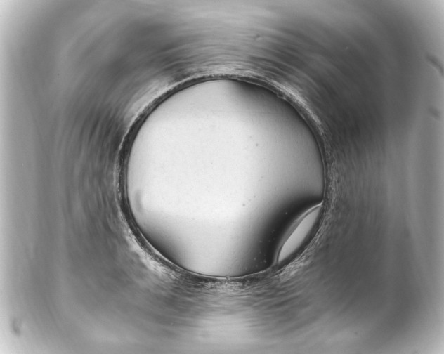 X0000101440991200807281018