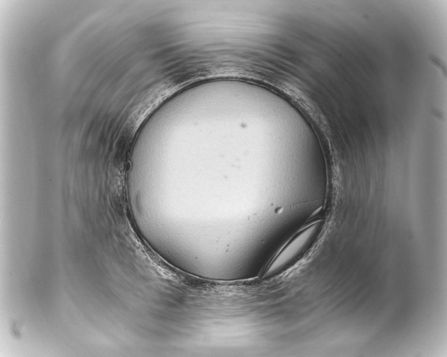 X0000101440993200807281018