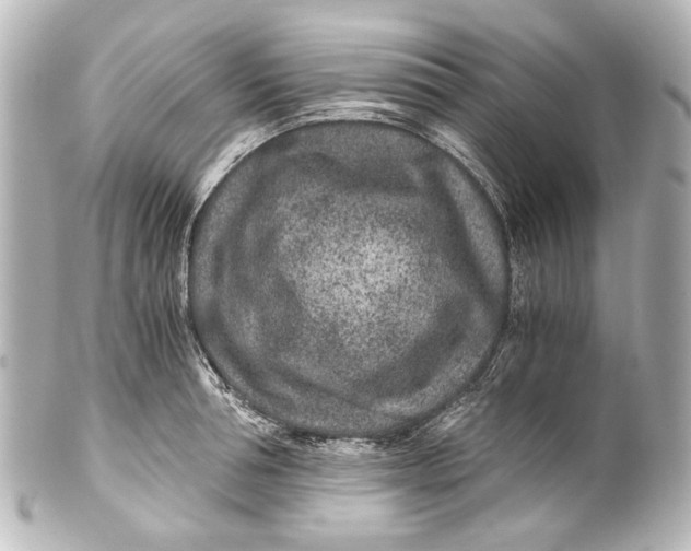 X0000101440994200807281018