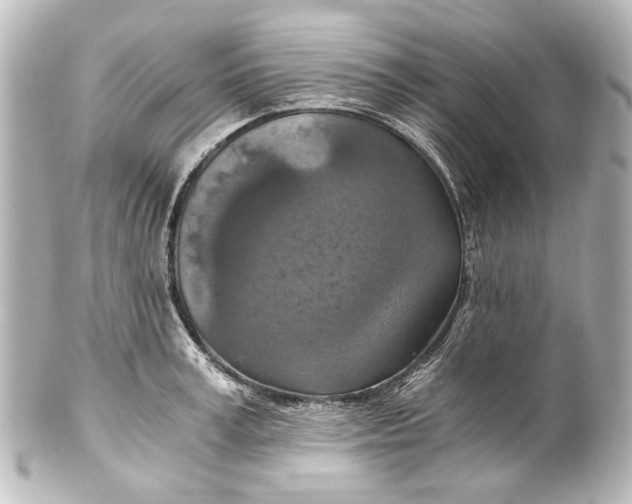 X0000101440995200807281018