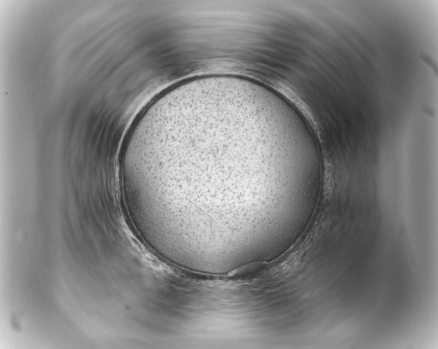 X0000101440996200807281018