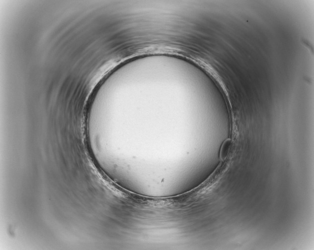 X0000101440997200807281018