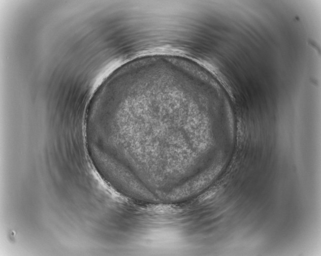 X0000101440998200807281018