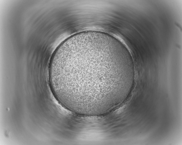 X0000101440999200807281018