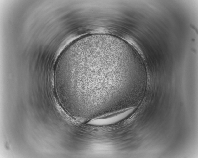 X0000101441000200807281018