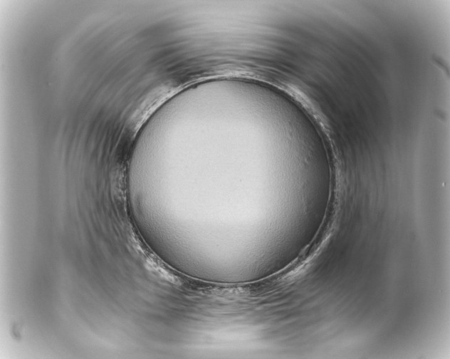 X0000101441001200807281018