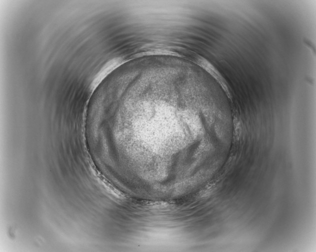 X0000101441002200807281018