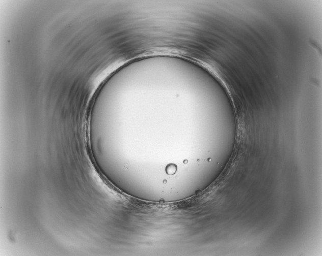 X0000101441003200807281018