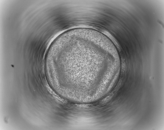 X0000101441004200807281018