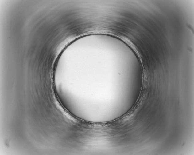 X0000101441005200807281018