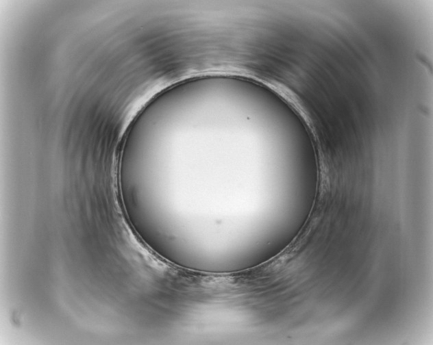 X0000101441006200807281018