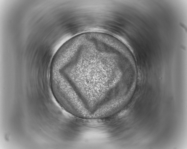 X0000101441007200807281018