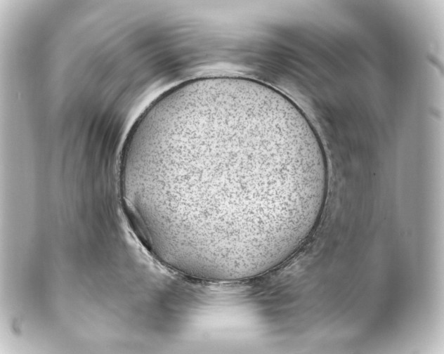 X0000101441008200807281018