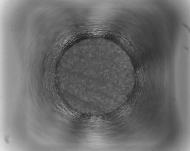 X0000101441009200807281017