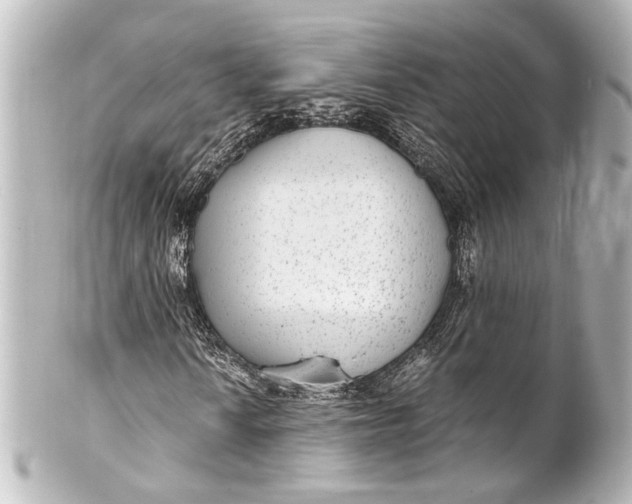 X0000101441010200807281017