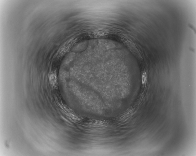 X0000101441011200807281017