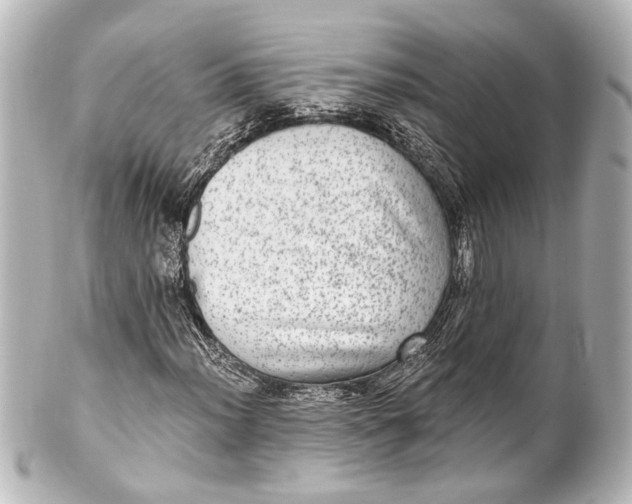 X0000101441012200807281017