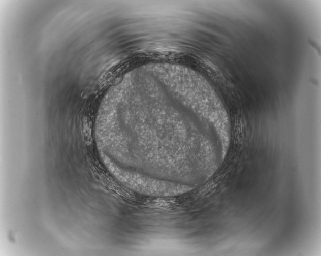 X0000101441013200807281017