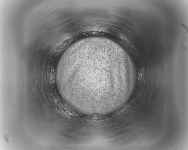 X0000101441014200807281018