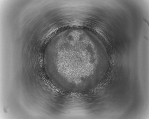 X0000101441015200807281018